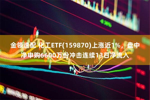 金领速配 化工ETF(159870)上涨近1%，盘中净申购6600万份冲击连续13日净流入