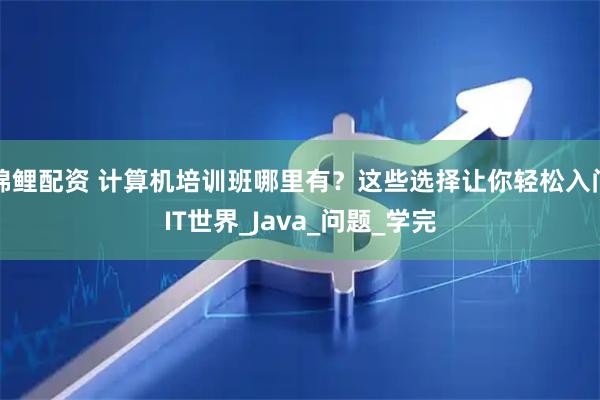 锦鲤配资 计算机培训班哪里有？这些选择让你轻松入门IT世界_Java_问题_学完