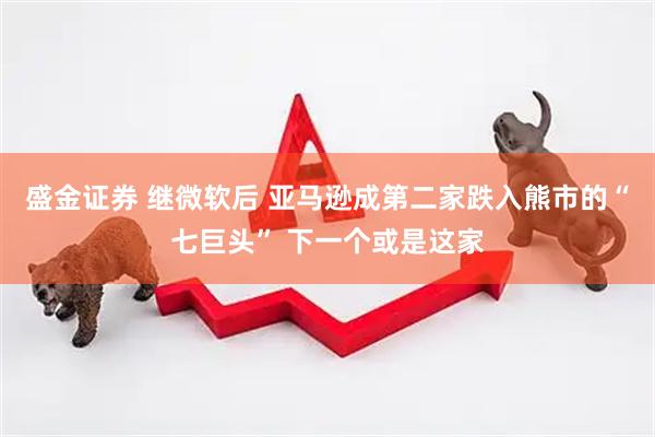 盛金证券 继微软后 亚马逊成第二家跌入熊市的“七巨头” 下一个或是这家