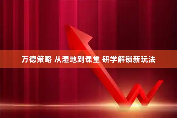 万德策略 从湿地到课堂 研学解锁新玩法